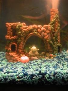 MINOLTA DIGITAL CAMERA