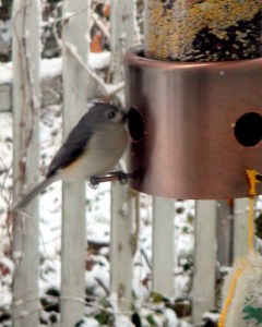 MINOLTA DIGITAL CAMERA